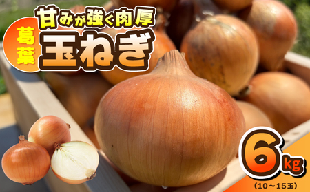 [先行予約]葛葉玉ねぎ 6kg(10〜15玉)