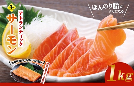 生食可!アトランティックサーモン 合計1kg