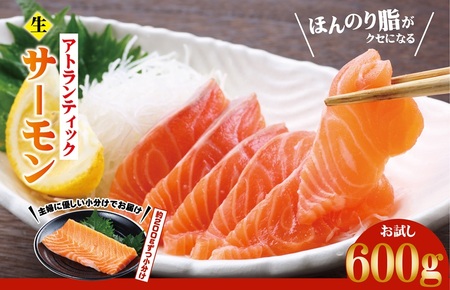 アトランティックサーモン お試し 600g