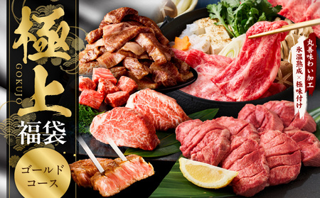 ɏ㕟 S[hR[X 5 1.8kgȏ