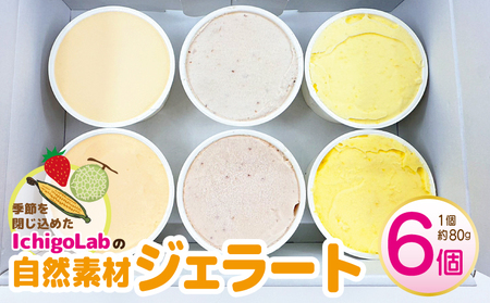 自然素材 ジェラート 6個 食べ比べ