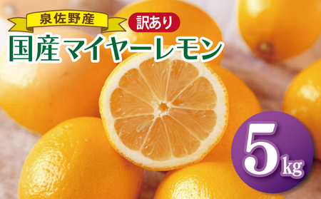 国産マイヤーレモン 5kg