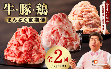 国産 牛肉&豚肉&鶏肉 まんぷく 定期便 5kg×2回