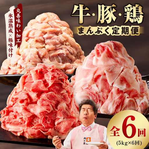 国産 牛肉＆豚肉＆鶏肉 まんぷく 定期便 5kg×6回