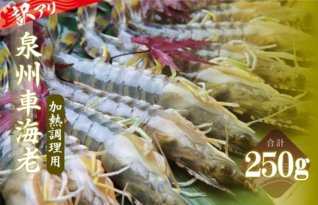 ��A���I������ ���M�����p ��B�ԊC�V250g