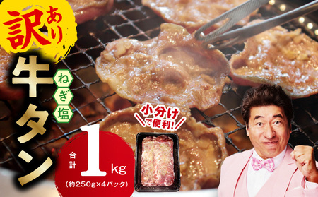 �y����ցz�˂��� ������i���^�j���v 1kg ������ 250g×4�y2026�N2����5�������z