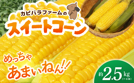 [先行予約]とうもろこし(甘いんですパワー85) 約2.5kg(7〜8本)