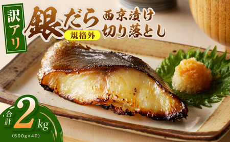 [規格外]銀鱈 西京漬け 切り落とし 2kg 訳あり