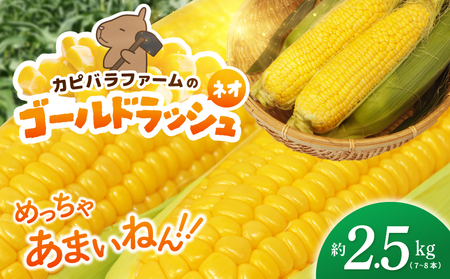 [先行予約]とうもろこし(ゴールドラッシュ ネオ) 約2.5kg(7〜8本)