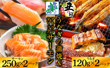 [7/26土用の丑の日]五郎藤 国産 関西風 地焼き有頭旨鰻 120g×2尾&アトランティックサーモン 250g×2パック