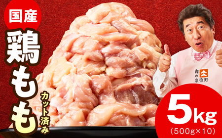 [特別規格]国産 鶏もも肉 切身 5kg[氷温熟成×極味付け]