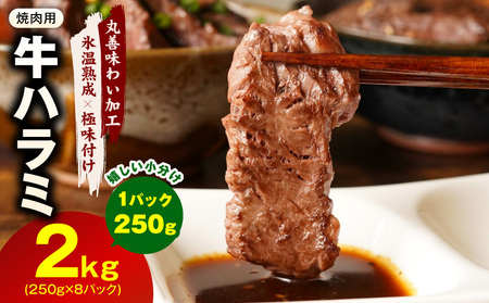 [氷温熟成×極味付け]牛肉 ハラミ 2kg(250g×8P)