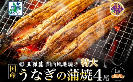 [7/26土用の丑の日]国産有頭旨鰻 250g×4尾 特大サイズ