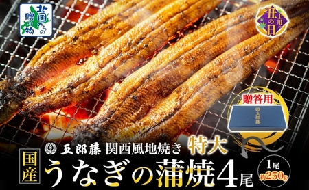 [7/26土用の丑の日][贈答用]国産有頭旨鰻 250g×4尾 特大サイズ