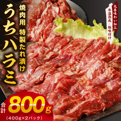 [氷温熟成×特製ダレ]希少部位 牛肉 うちハラミ 800g(400g×2)
