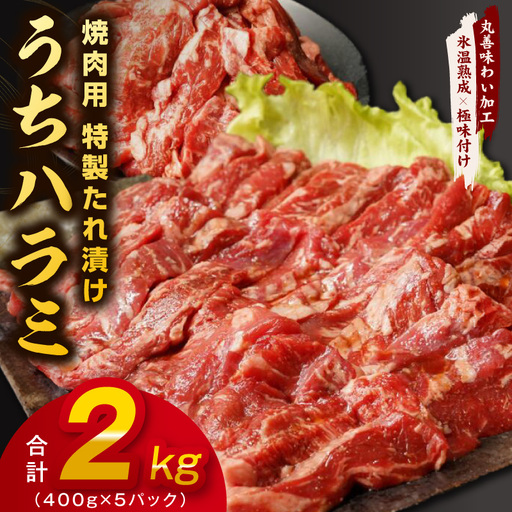 【氷温熟成×特製ダレ】希少部位 牛肉 うちハラミ 2kg（400g×5）
