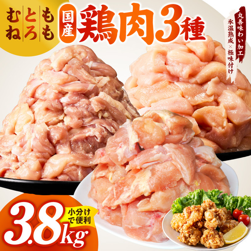 【氷温熟成×極味付け】国産鶏モモ・鶏とろ（肩肉）・鶏むね　3種セット 合計3.8kg