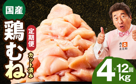 [定期便]国産 鶏むね肉 4kg×12回