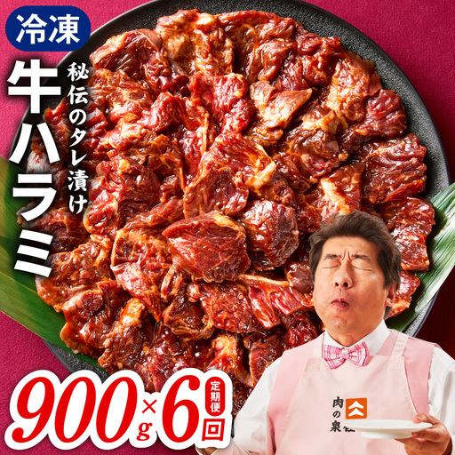【定期便】牛ハラミ肉 900g×全6回