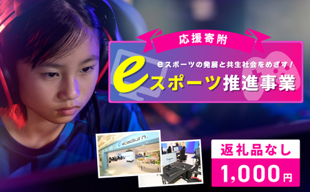 [返礼品なし]eスポーツの発展と共生社会の実現をめざす!eスポーツ推進応援寄附(大阪府泉佐野市)