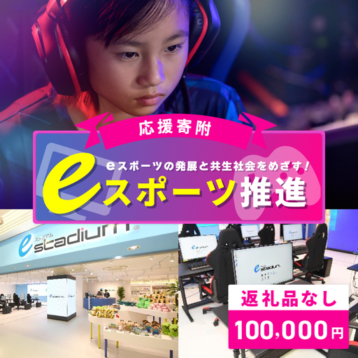 【返礼品なし】eスポーツの発展と共生社会の実現をめざす！eスポーツ推進応援寄附（大阪府泉佐野市）　