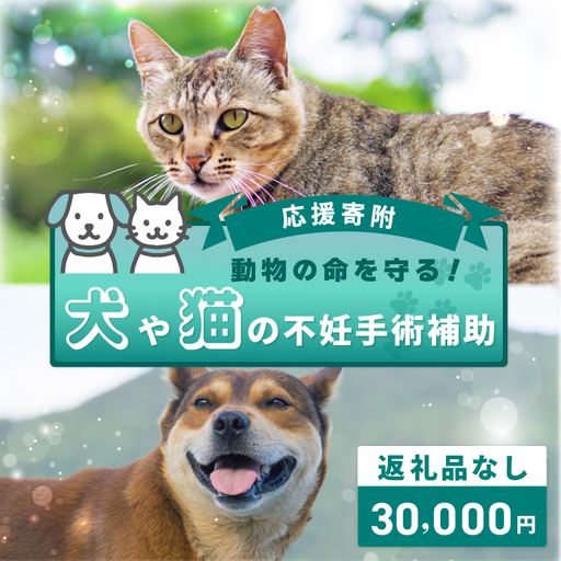 【返礼品なし】動物の命を守る！犬や猫の不妊手術補助 応援寄附（大阪府泉佐野市）　
