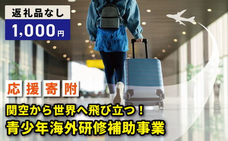 [返礼品なし]関空から世界へ飛び立つ!青少年海外研修補助応援寄附(大阪府泉佐野市)