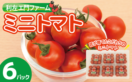 泉州産 新鮮ミニトマト 6パック 約1kg