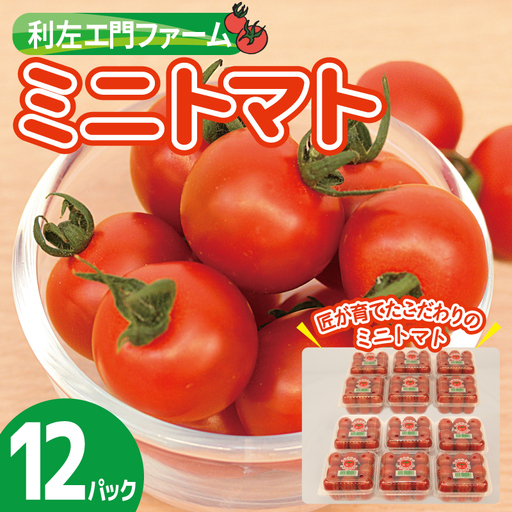 泉州産 新鮮ミニトマト 12パック 約2kg