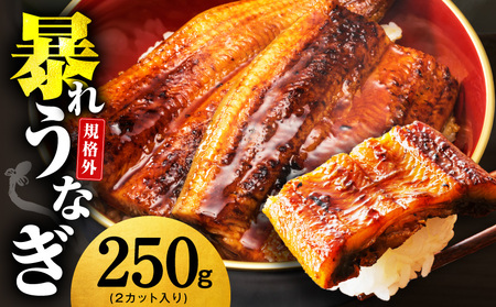 [規格外]うなぎ 暴れ盛り 250g(2カット)