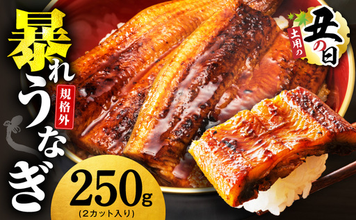 [7/26土用の丑の日]うなぎ 暴れ盛り 250g(2カット)