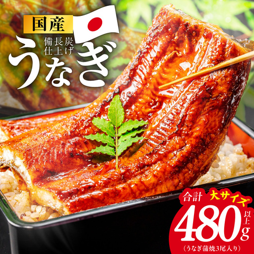 【特別規格】国産うなぎ蒲焼 480g以上（大サイズ3尾）
