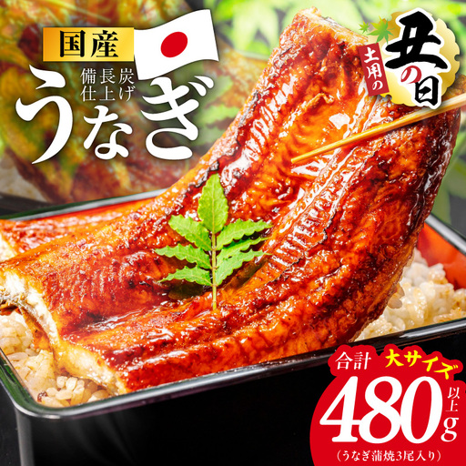 【土用の丑の日】国産うなぎ蒲焼 480g以上（大サイズ3尾）