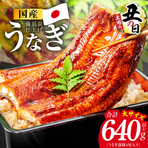 【土用の丑の日】国産うなぎ蒲焼 640g以上（大サイズ4尾）