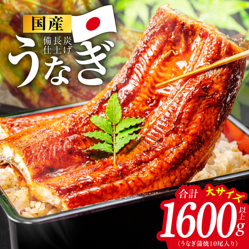 【特別規格】国産うなぎ蒲焼 1600g以上（大サイズ10尾）