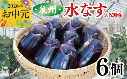 [お中元対応]泉州 泉佐野市産 ハウス水なす 6個