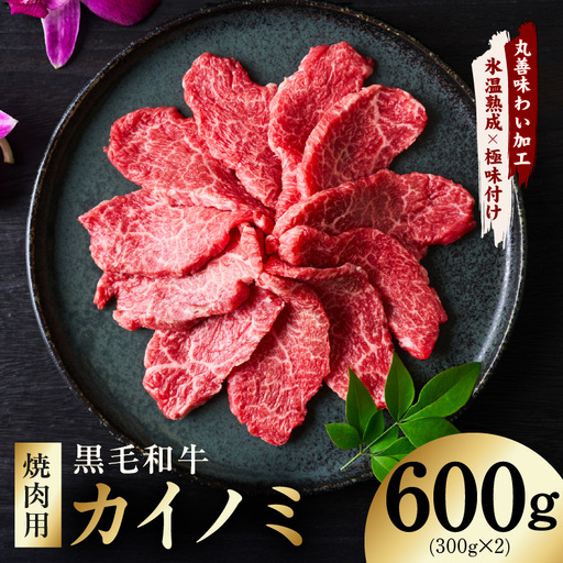 【氷温熟成×極味付け】黒毛和牛 カイノミ 焼肉用 600g