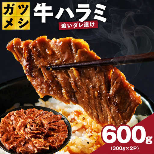 ガツめし牛ハラミ 600g 追いダレ漬け
