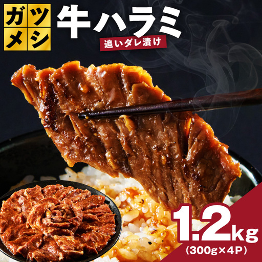 ガツめし牛ハラミ 1.2kg 追いダレ漬け