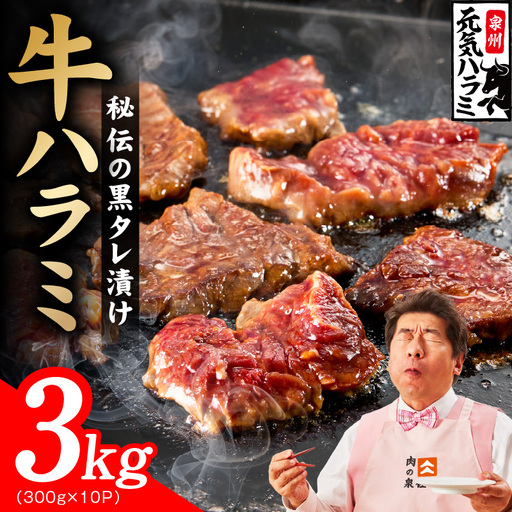 [新登場]極旨黒ダレ 牛ハラミ肉 3kg(300g×10P)