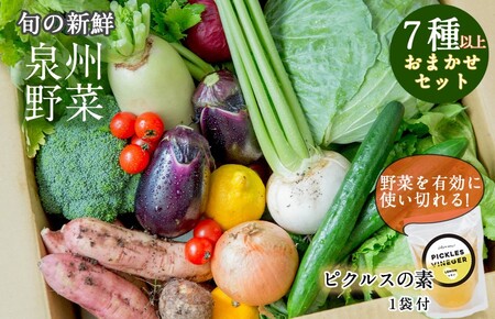 季節の泉州野菜セット 7種