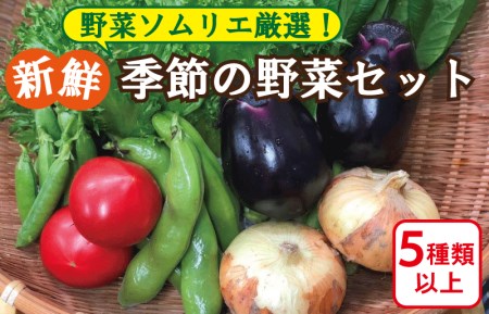 野菜ソムリエの返礼品 検索結果 | ふるさと納税サイト「ふるなび」