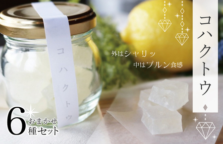 コハクトウおまかせセット
