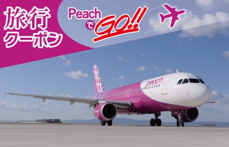 PeachでGo！！泉佐野市宿泊 旅行クーポン（300,000円分）【宿泊 旅行 ホテル トラベル】