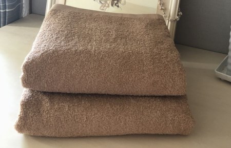 超大判バスタオル２枚セット（コカブラウン）泉州タオル 90×170cm