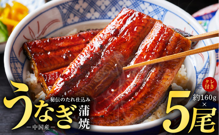 秘伝のたれ仕込み うなぎ蒲焼 合計800g（約160g×5尾）鰻 ウナギ 中国産 温めるだけ 簡単 レンジ調理 ふっくらふわふわ 炭火焼き 備長炭 手焼き