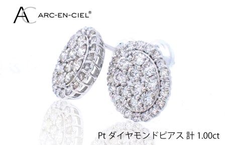 ARC-EN-CIEL プラチナ ダイヤピアス（計 1.0ct）【鑑別書付き ジュエリー プレゼント ギフト ファッション アクセサリー 贈り物 贈答 お祝い 記念日】