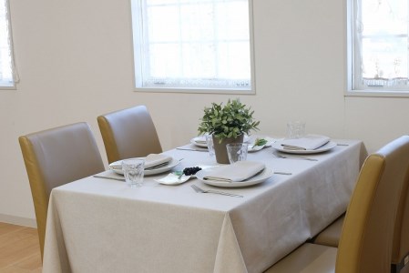 テーブルクロスとナフキンセット200（アイランディア)