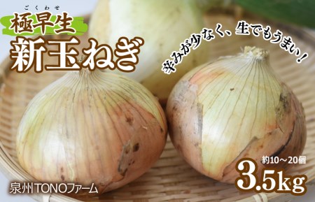 [先行予約]極早生 新たまねぎ 3.5kg[新鮮 野菜 泉佐野産 玉ねぎ 玉葱 やさい TONOファーム 数量限定 ]