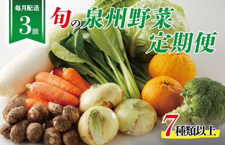 泉州野菜 定期便 全3回 7種類以上 詰め合わせ 国産 新鮮 冷蔵[毎月配送コース]
